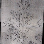 Ditto Family Tree